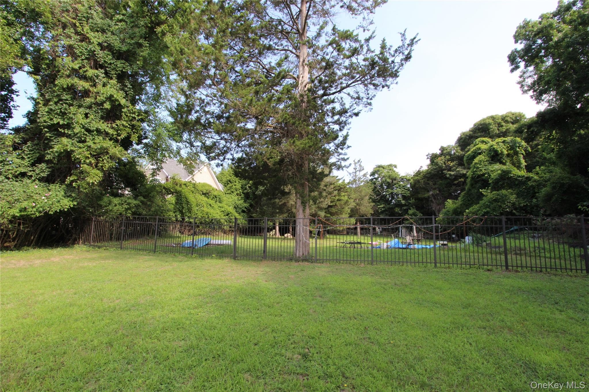 Yard