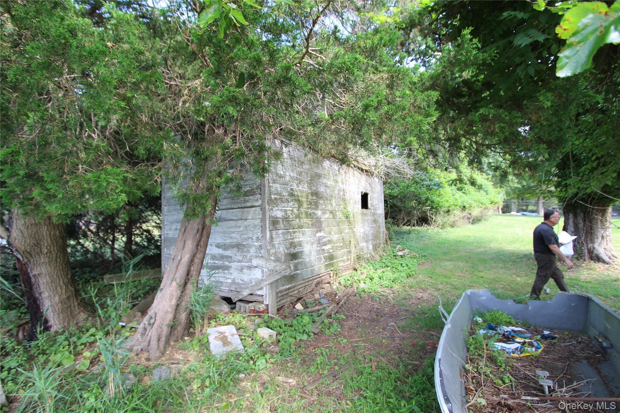 Yard