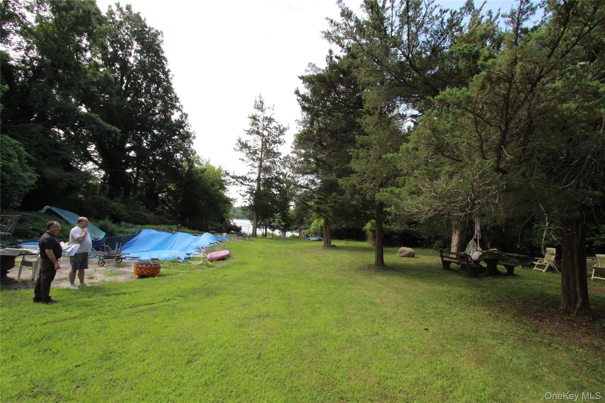 Yard