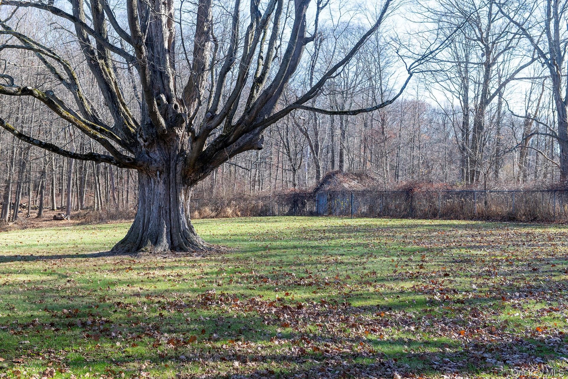 Yard