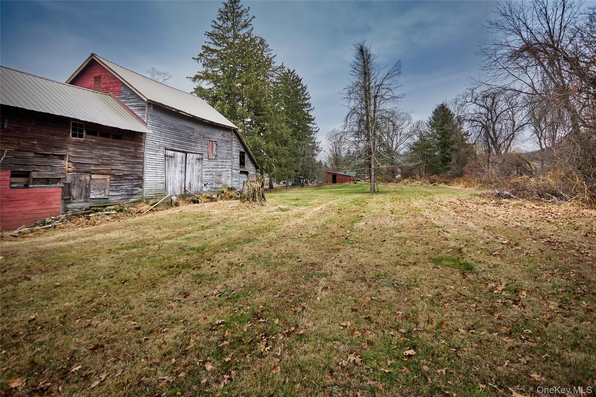Yard