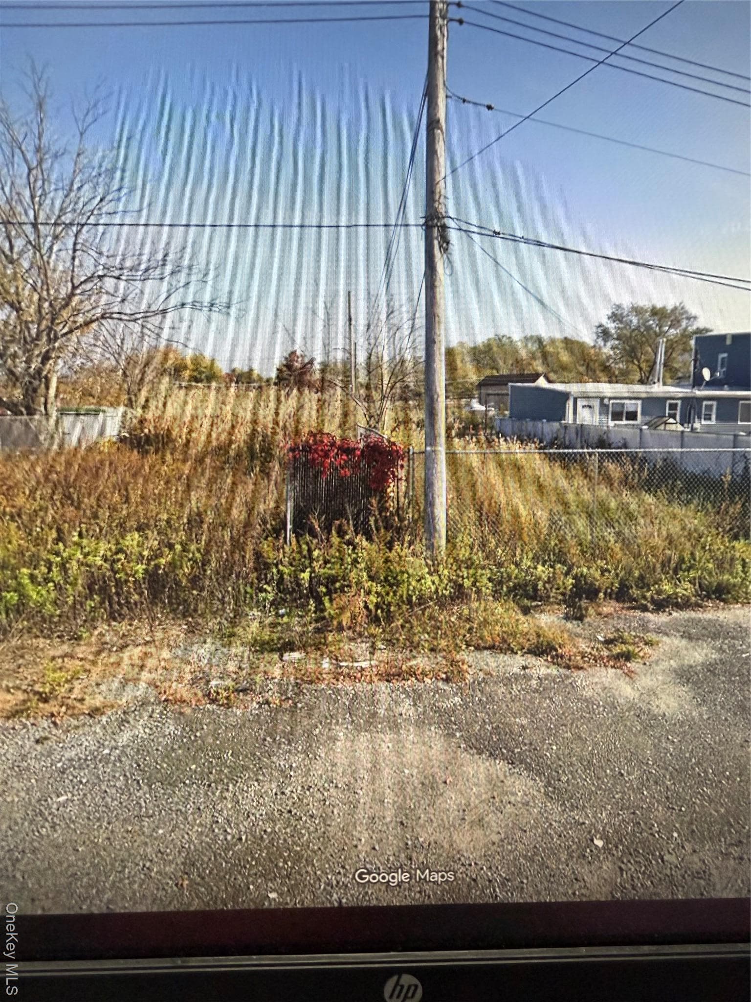 Yard
