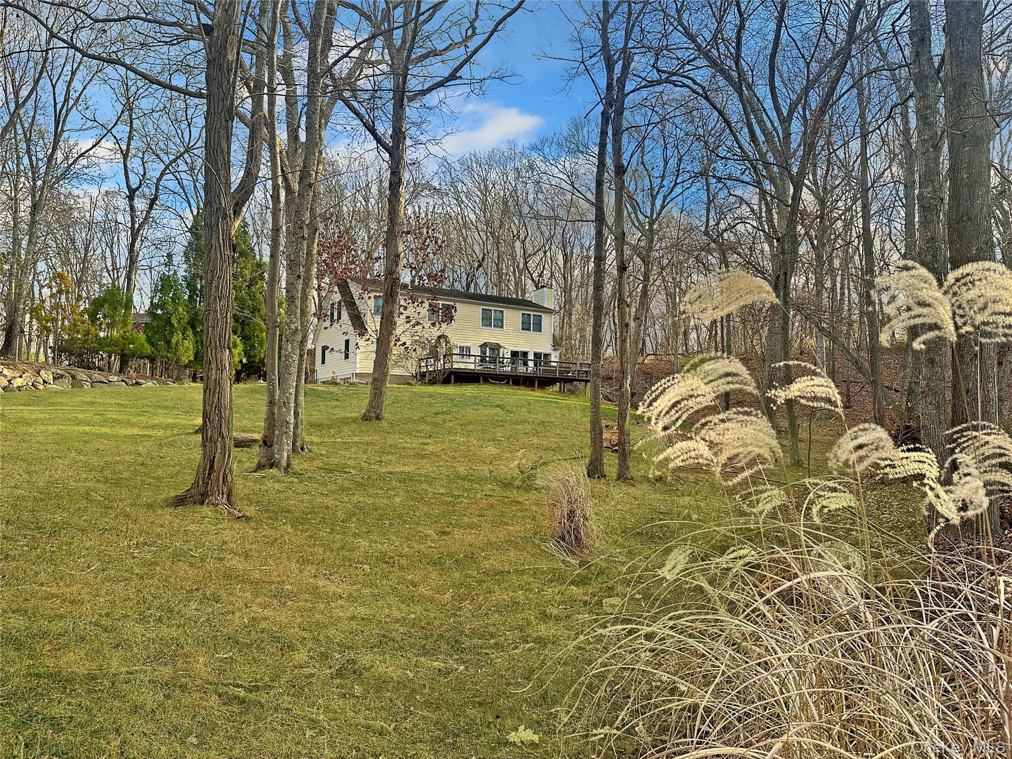 Yard