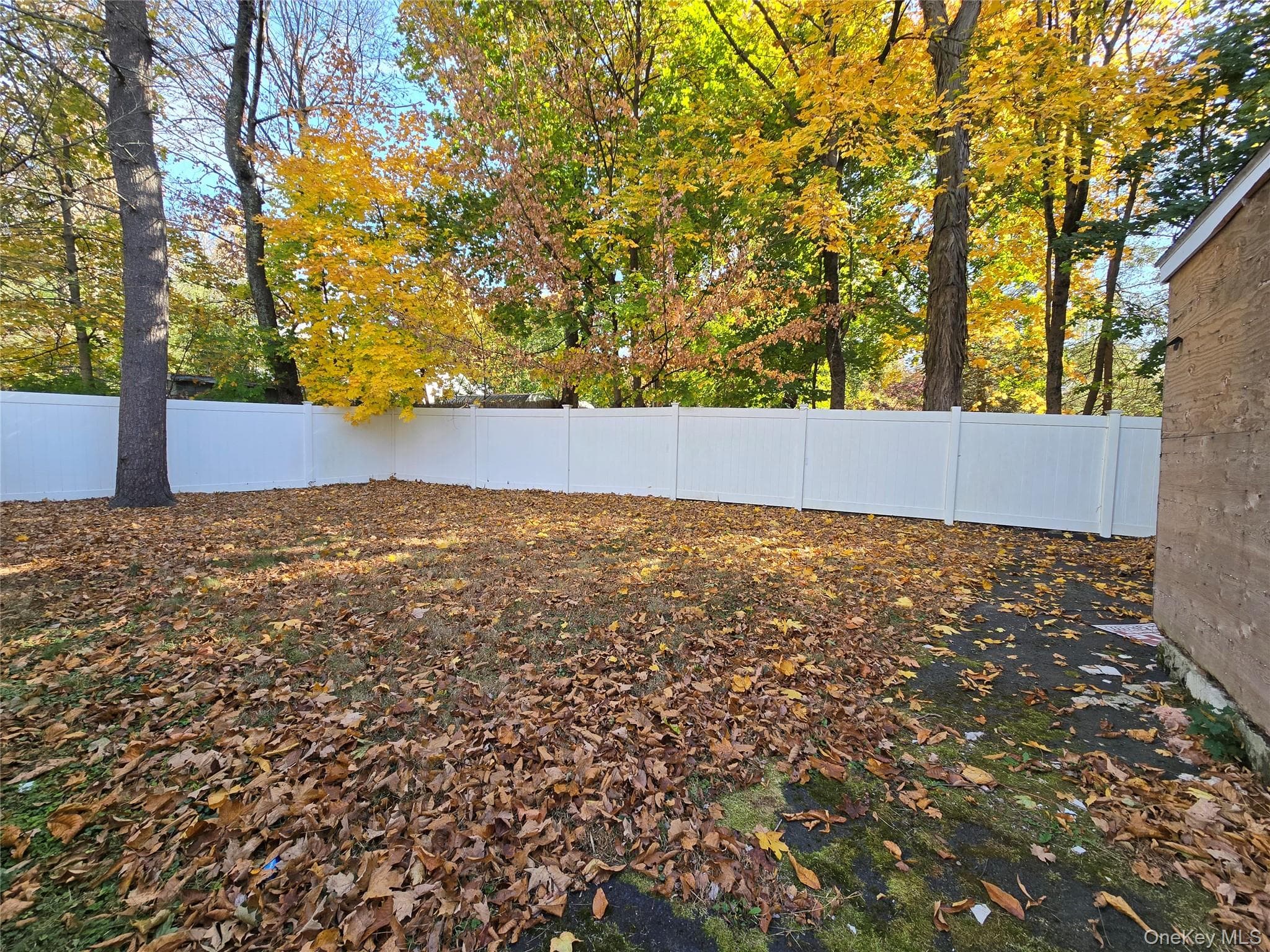 Yard
