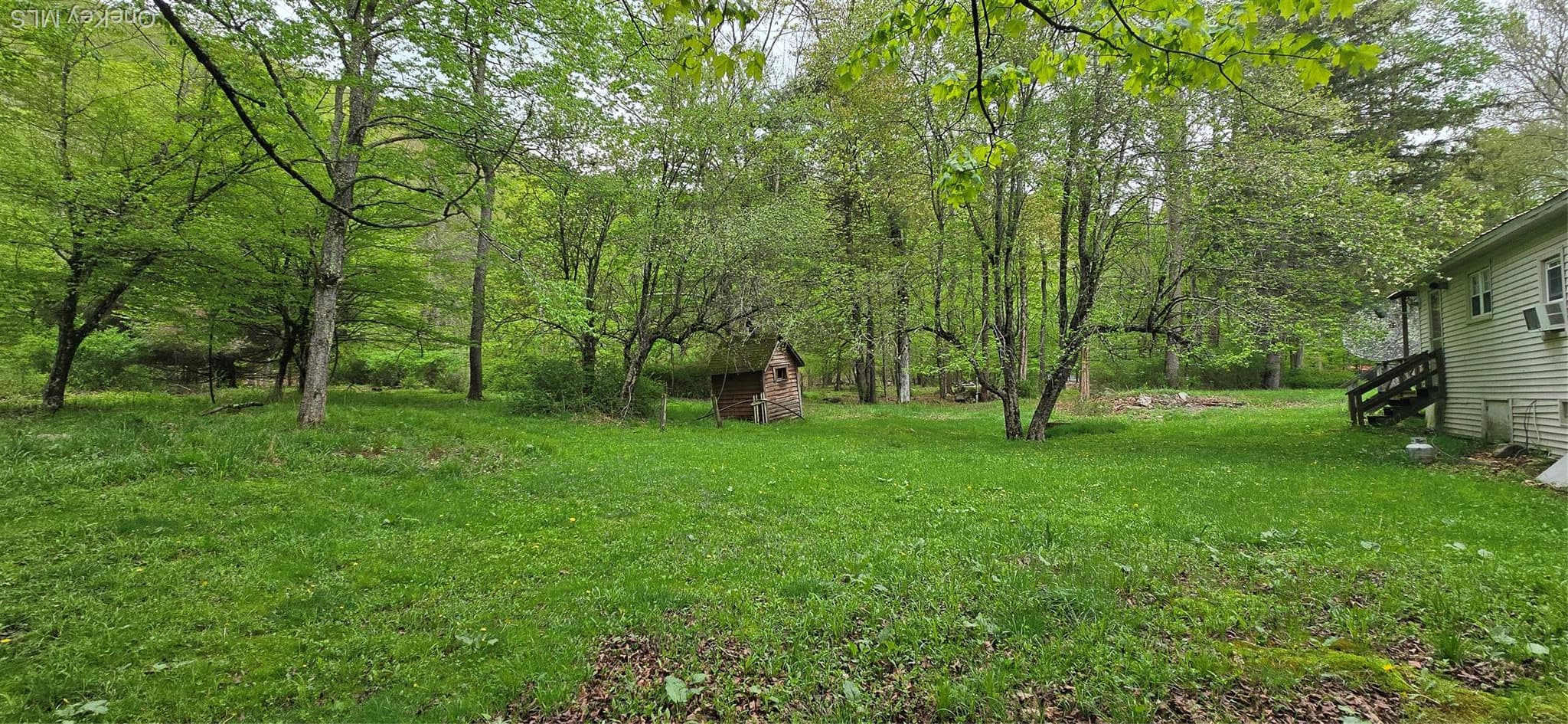 Yard