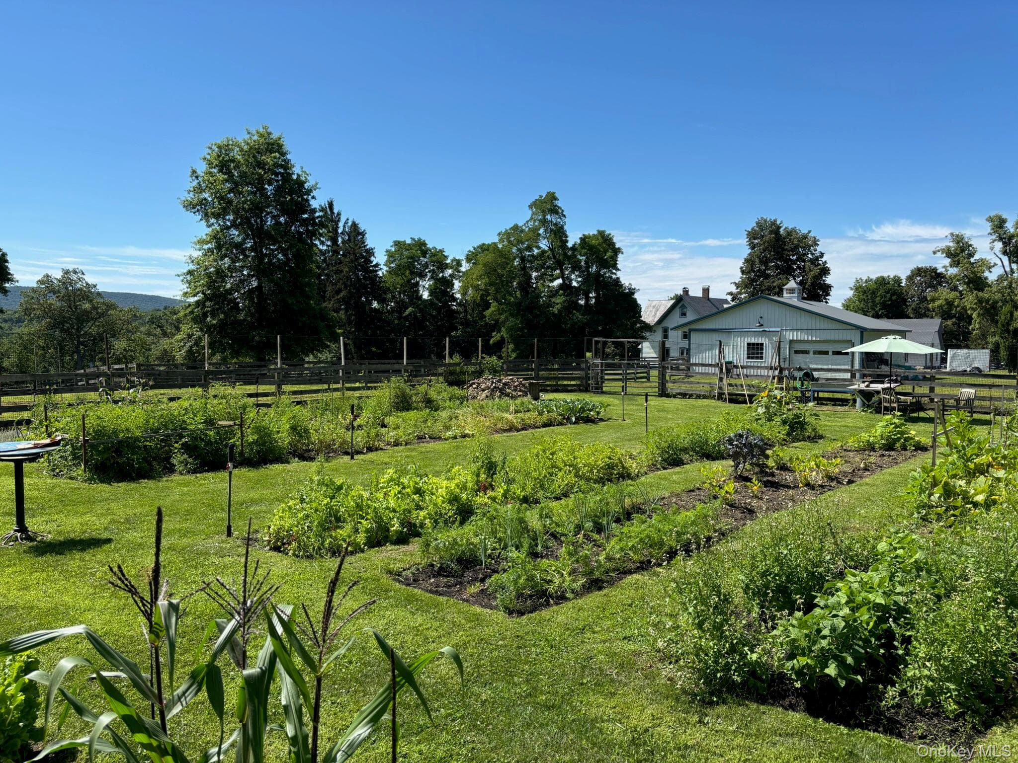 Yard