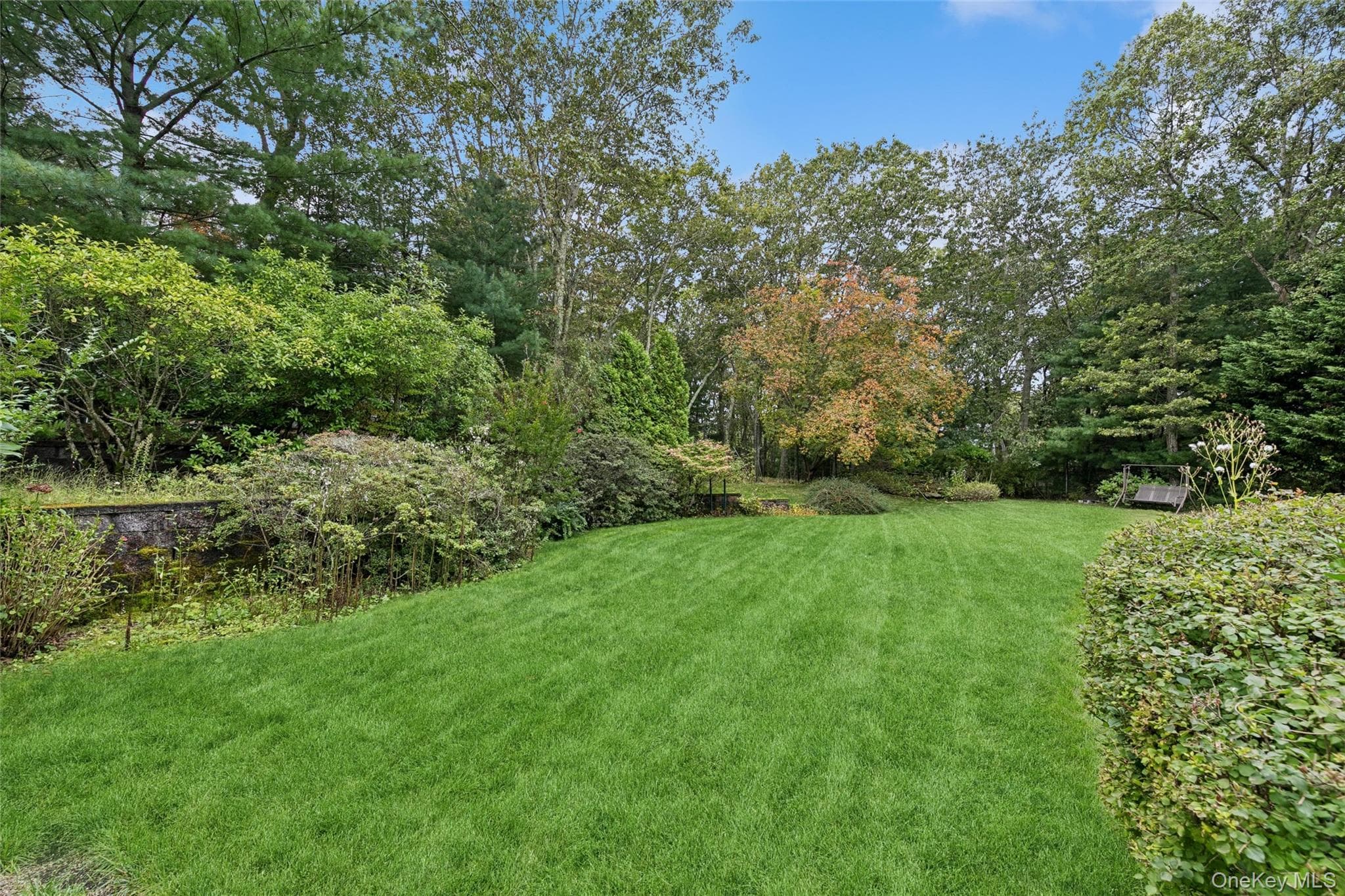 Yard