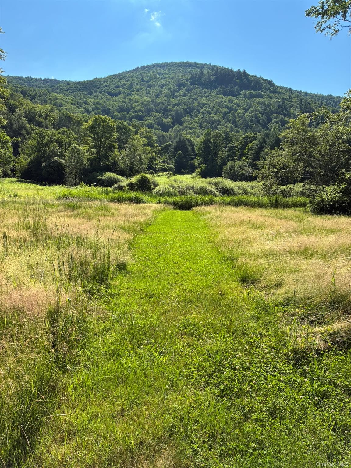 View