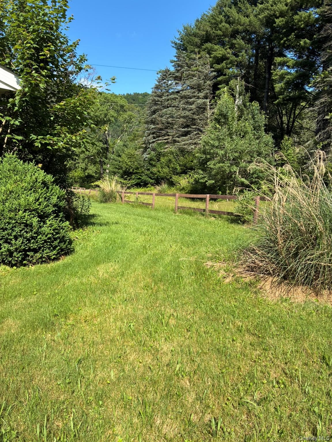Yard