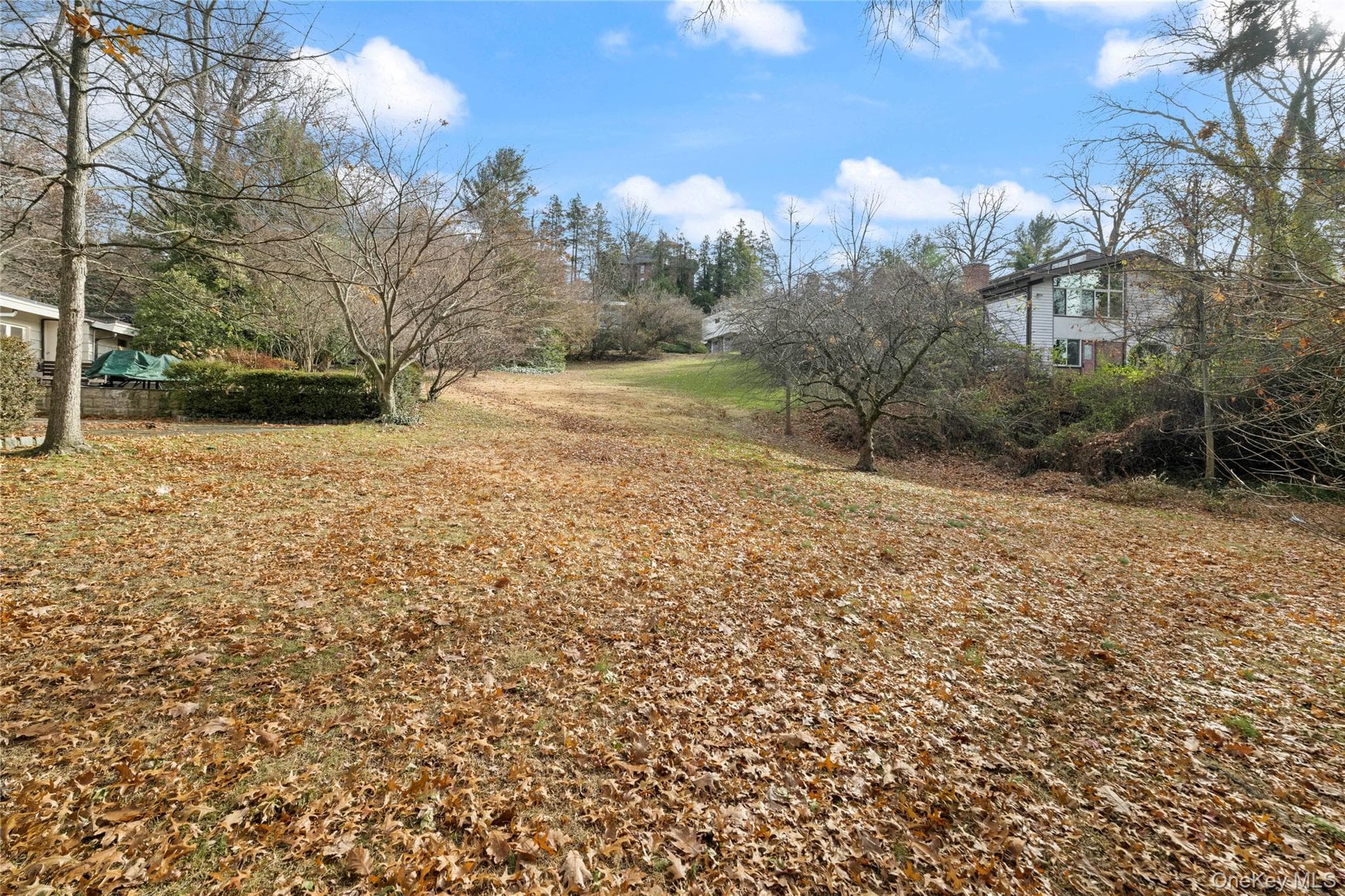 Yard
