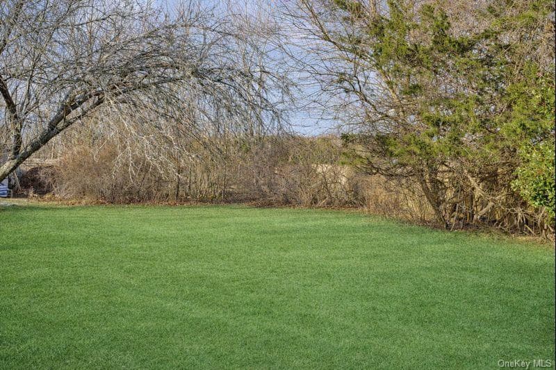 Yard