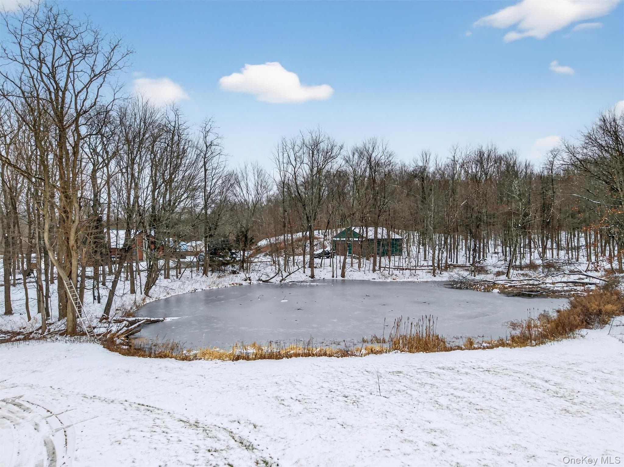 Pond