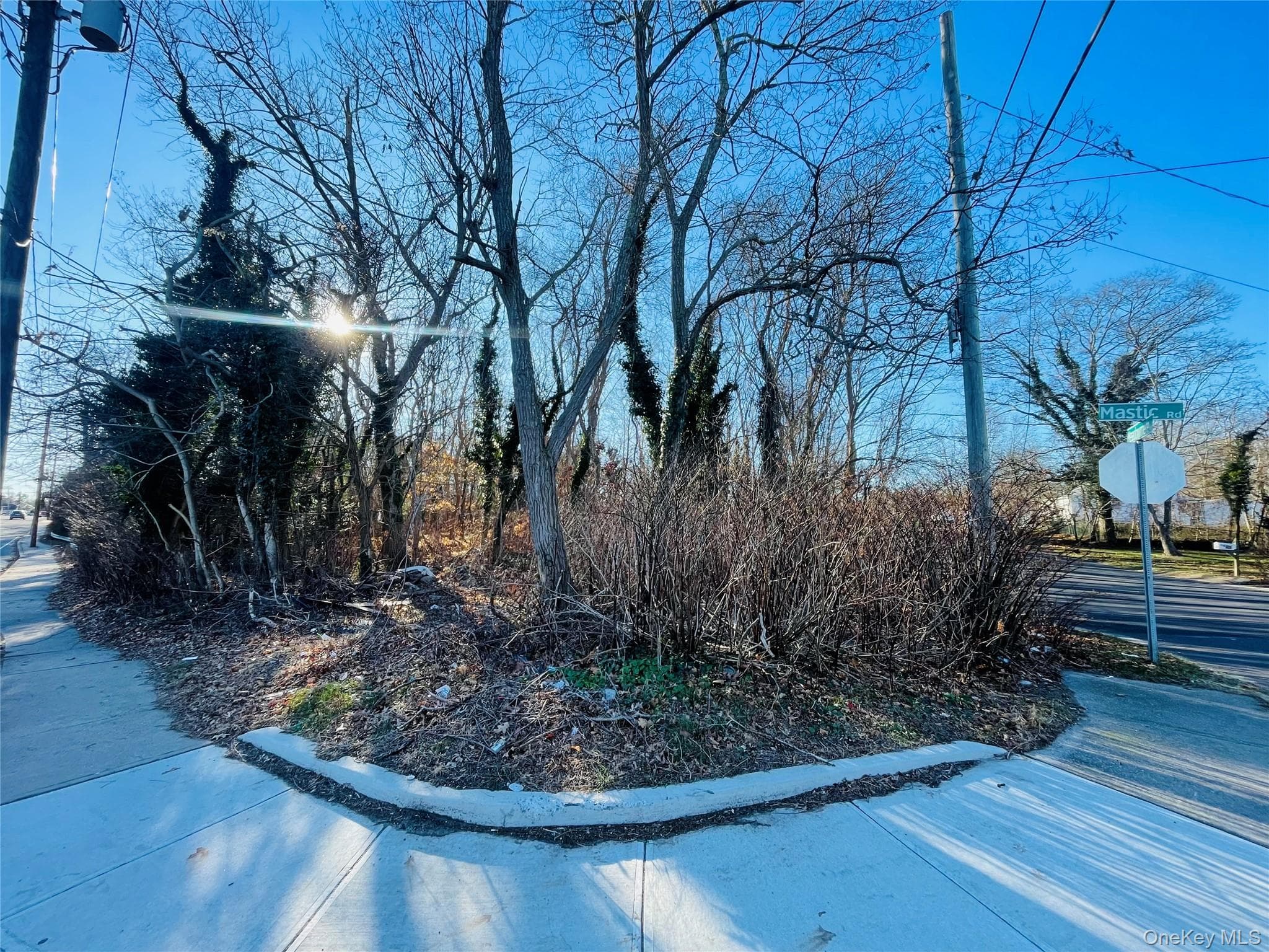 Yard