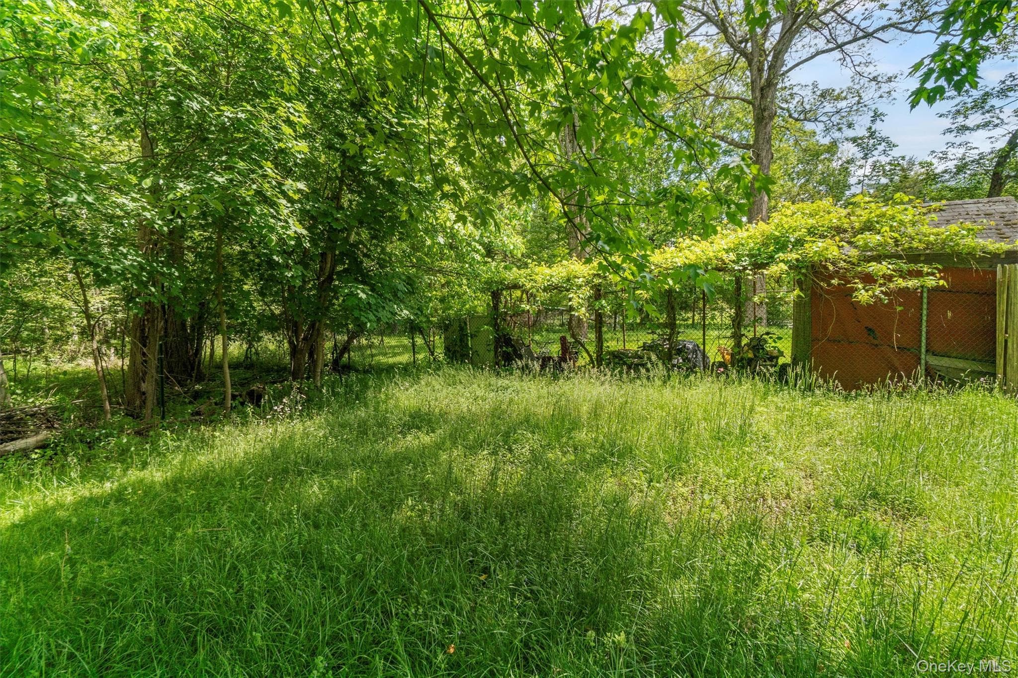 Yard