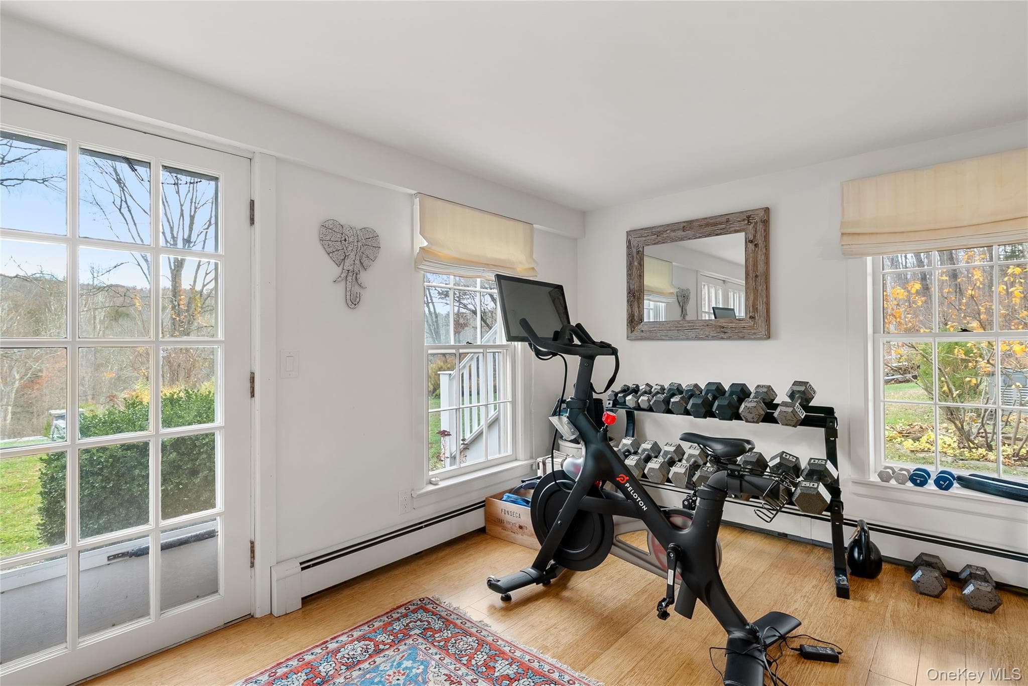 Exercise Room