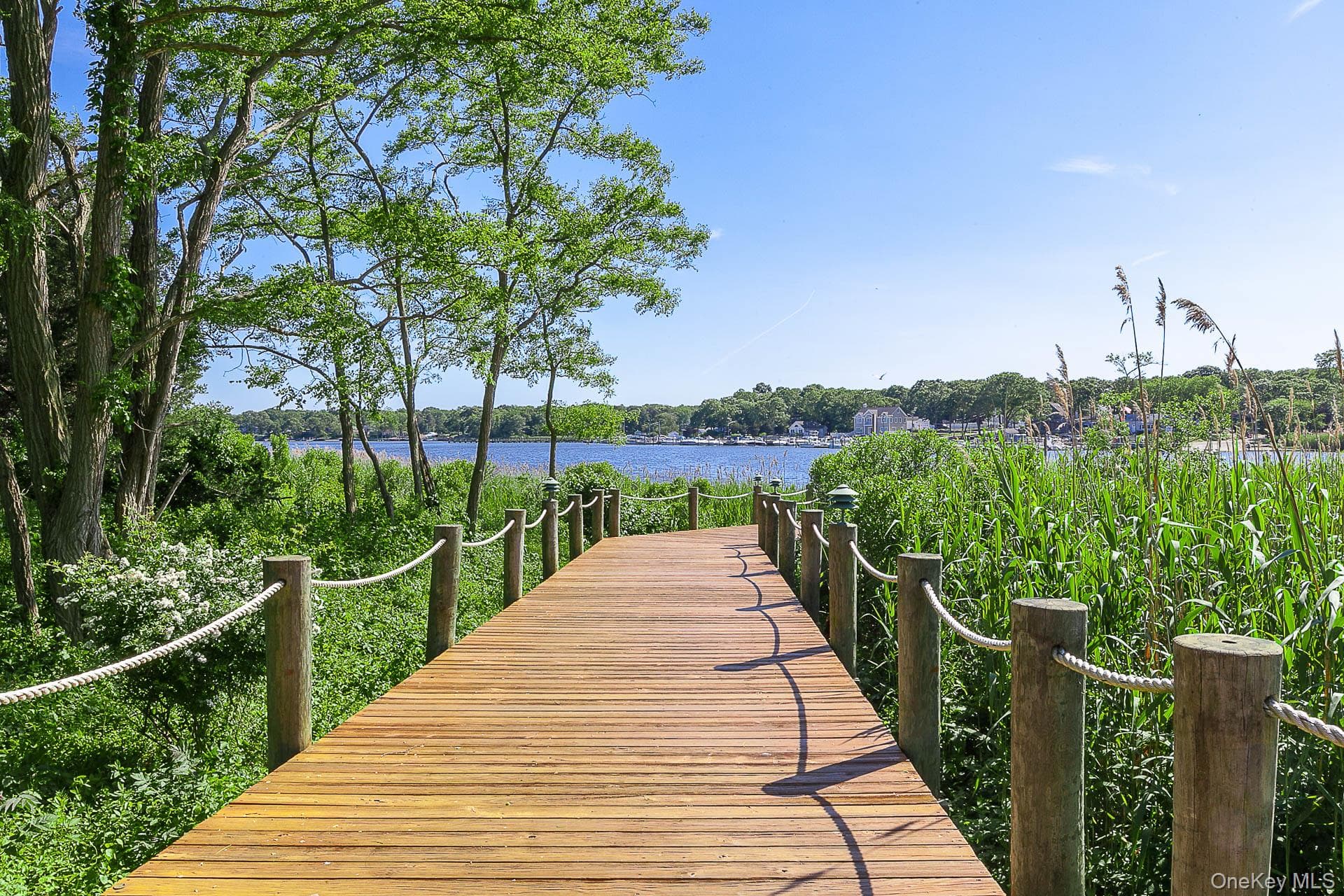 Dock