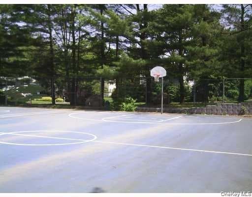Basketball Court