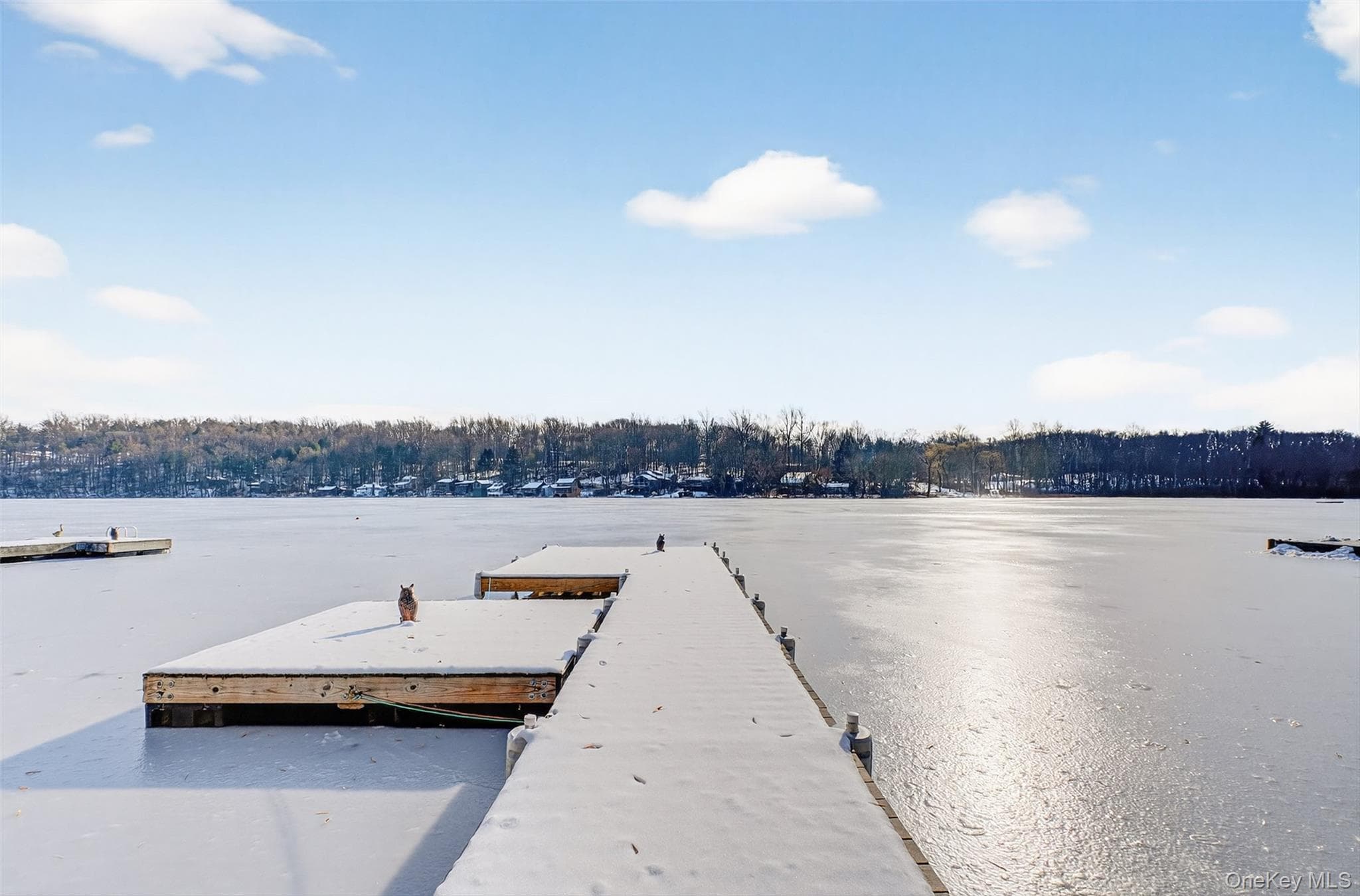 Dock