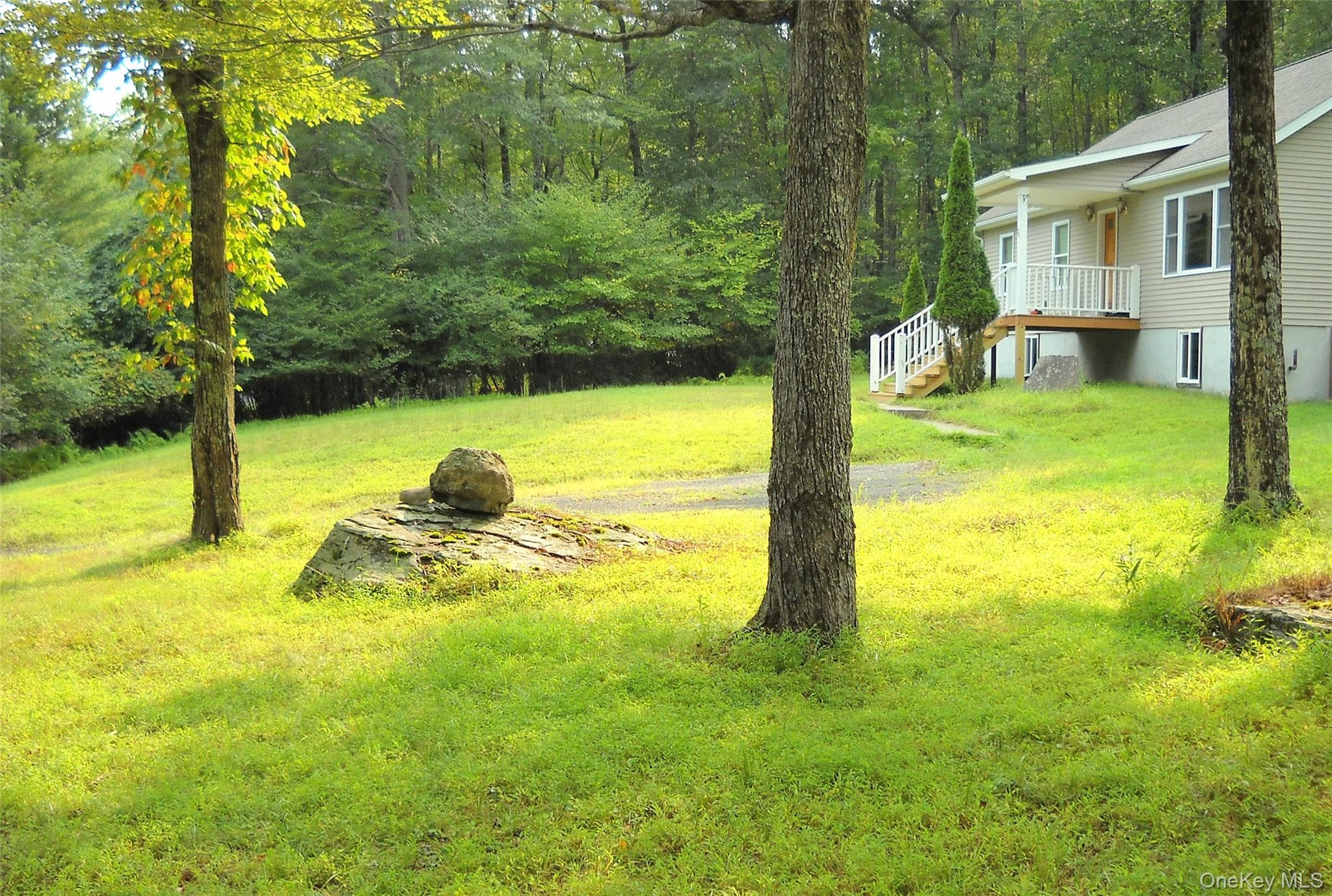 Yard