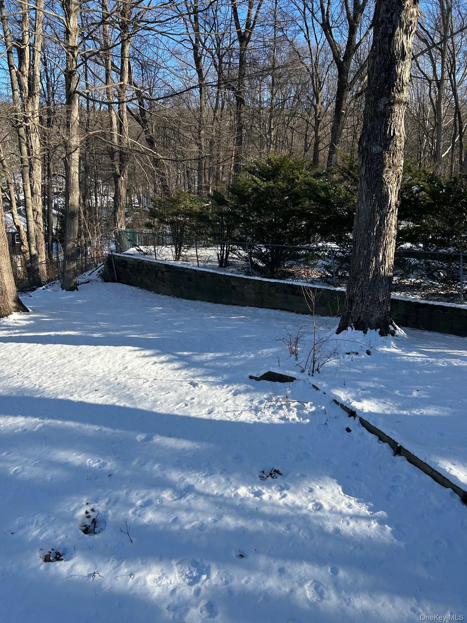 Yard