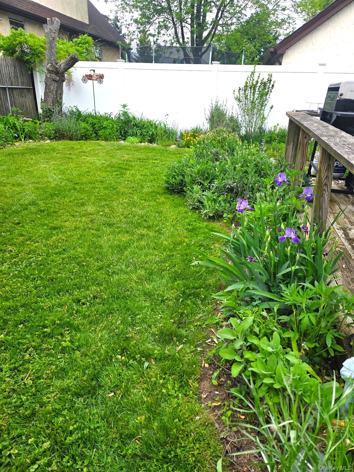Yard