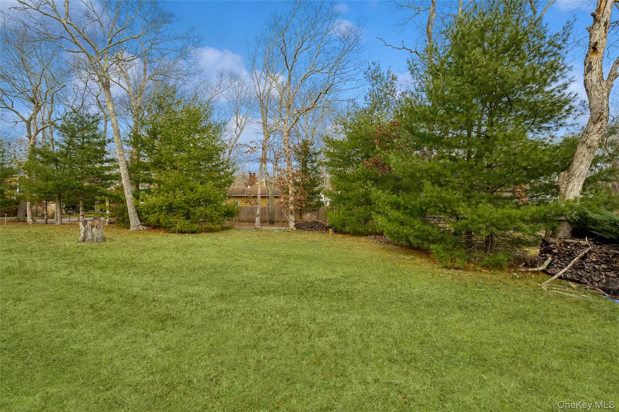 Yard