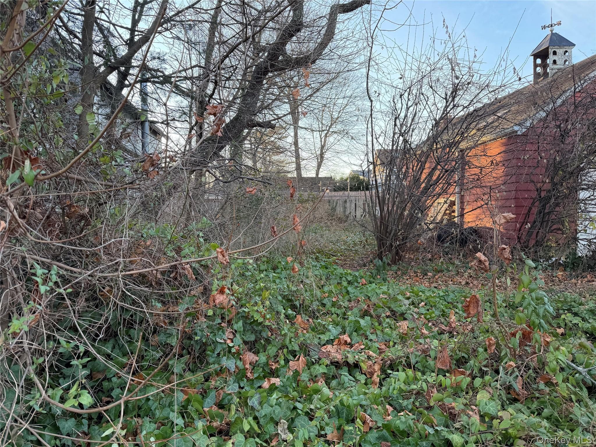Yard
