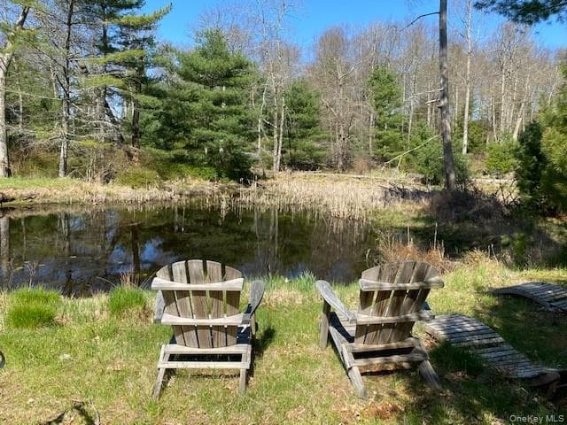 Pond