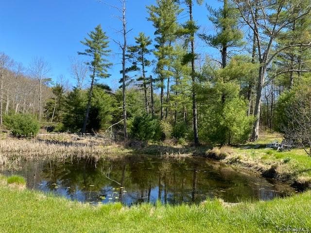Pond