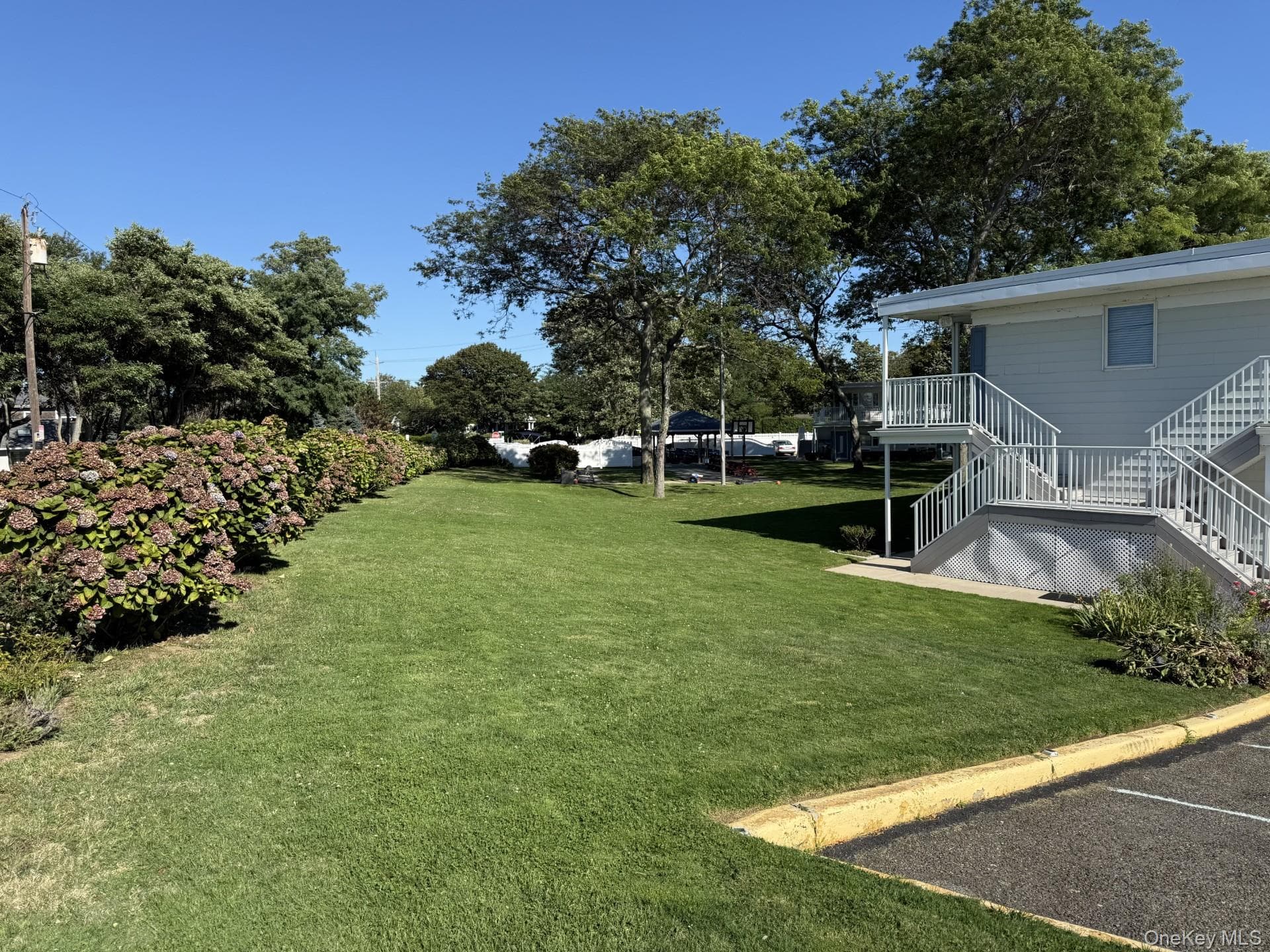 Yard