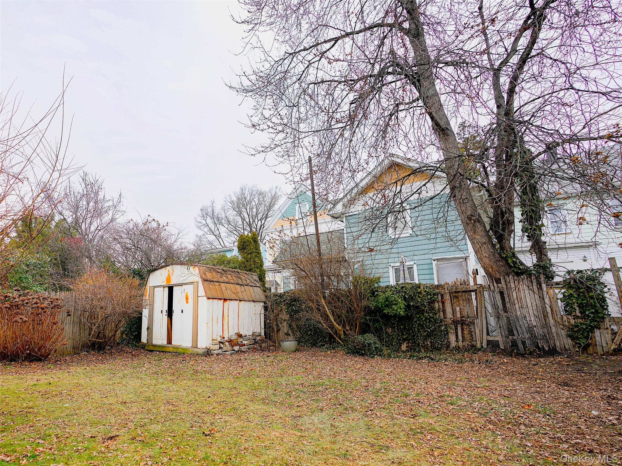 Yard