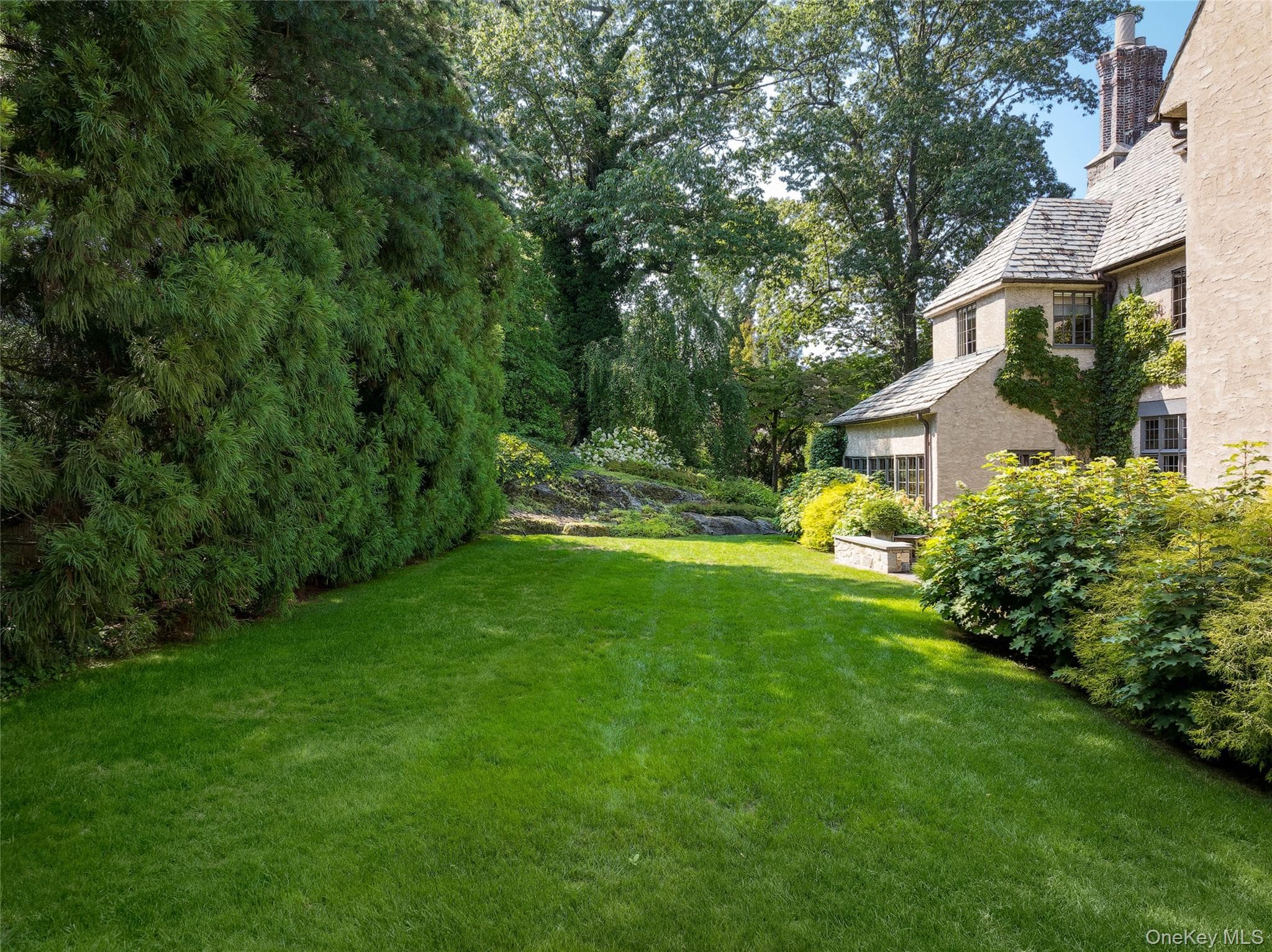 Yard