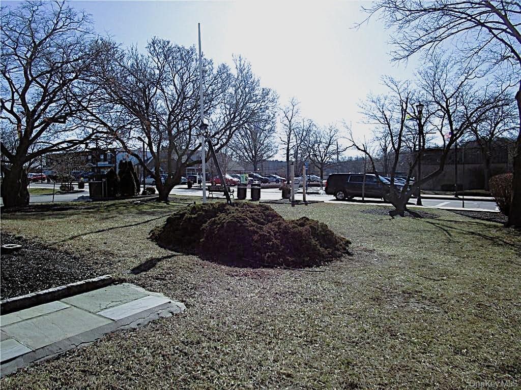Yard