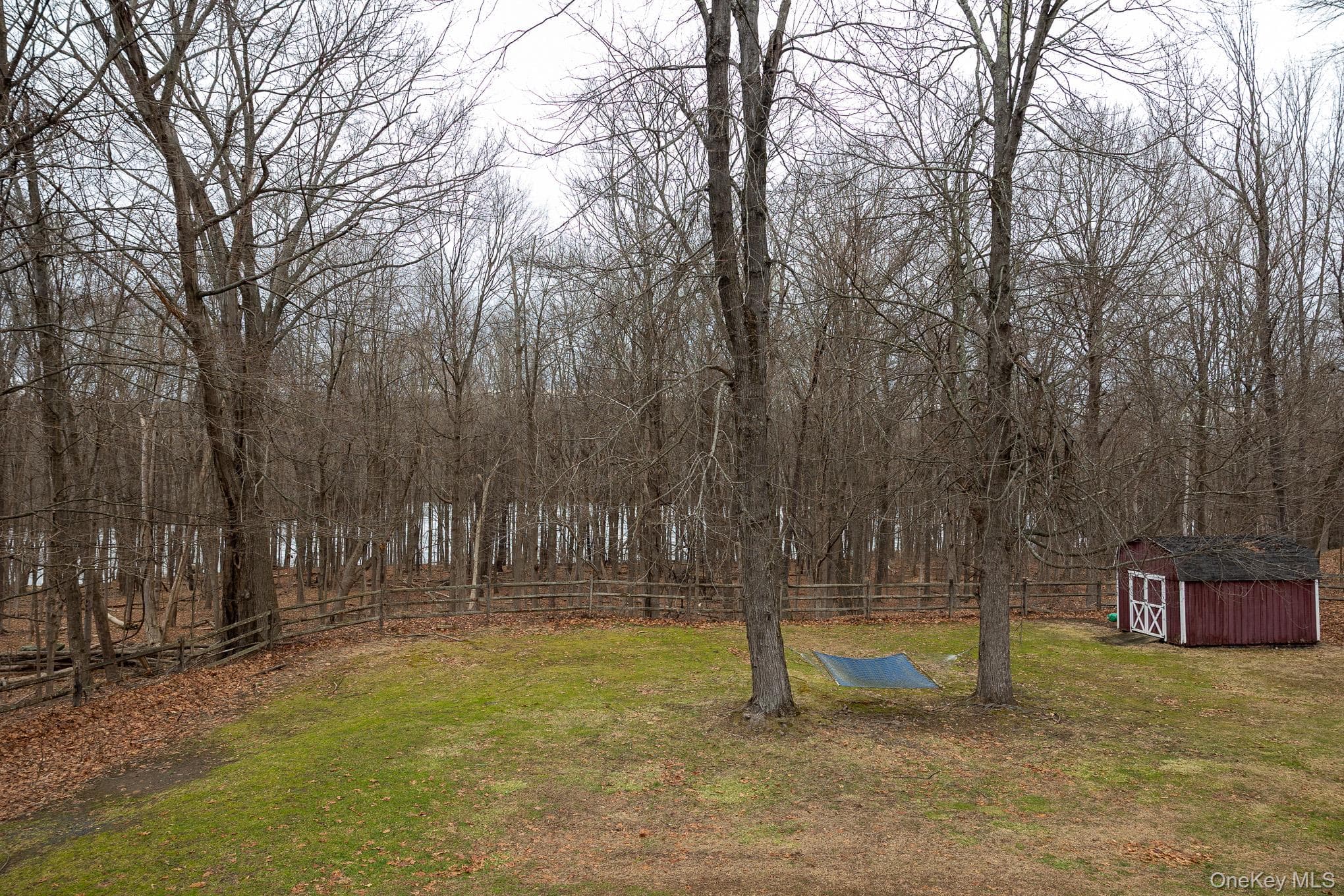 Photo 42