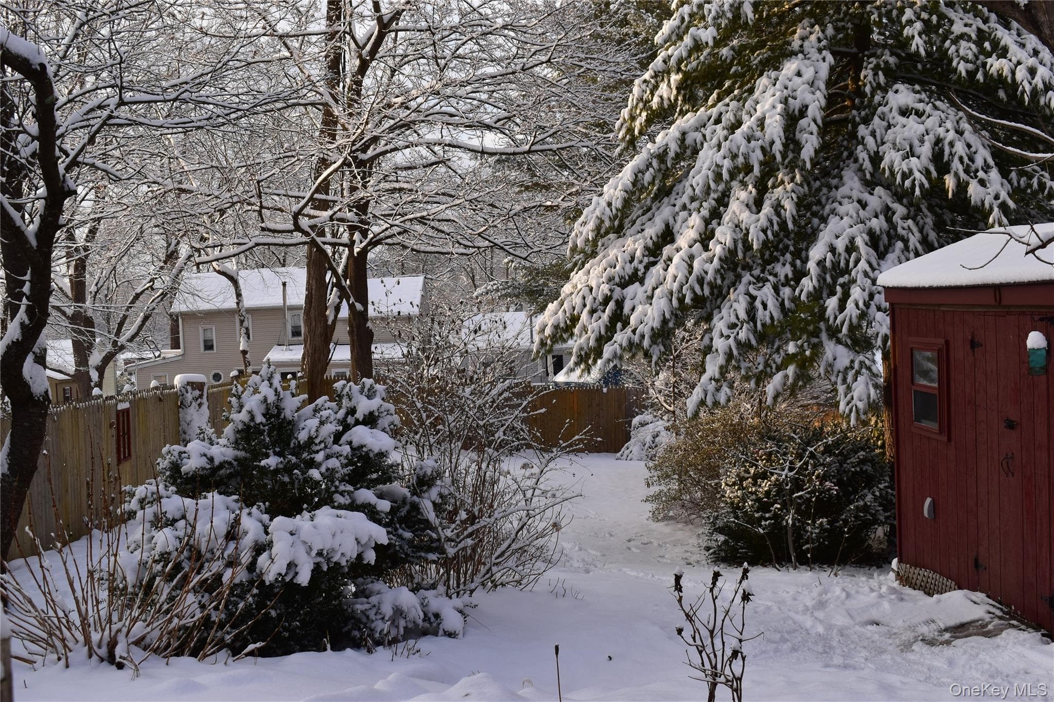 Yard