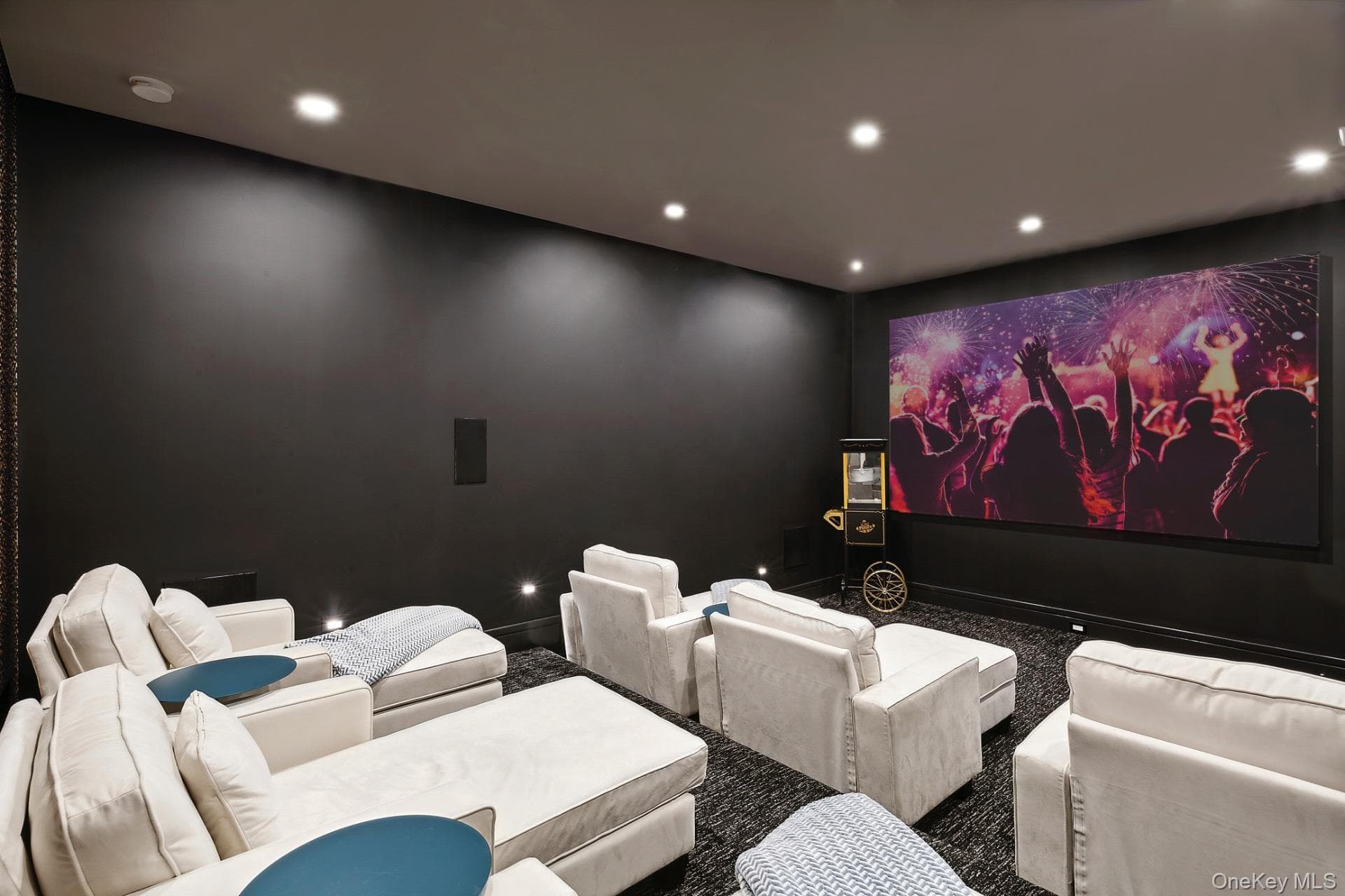Media Room