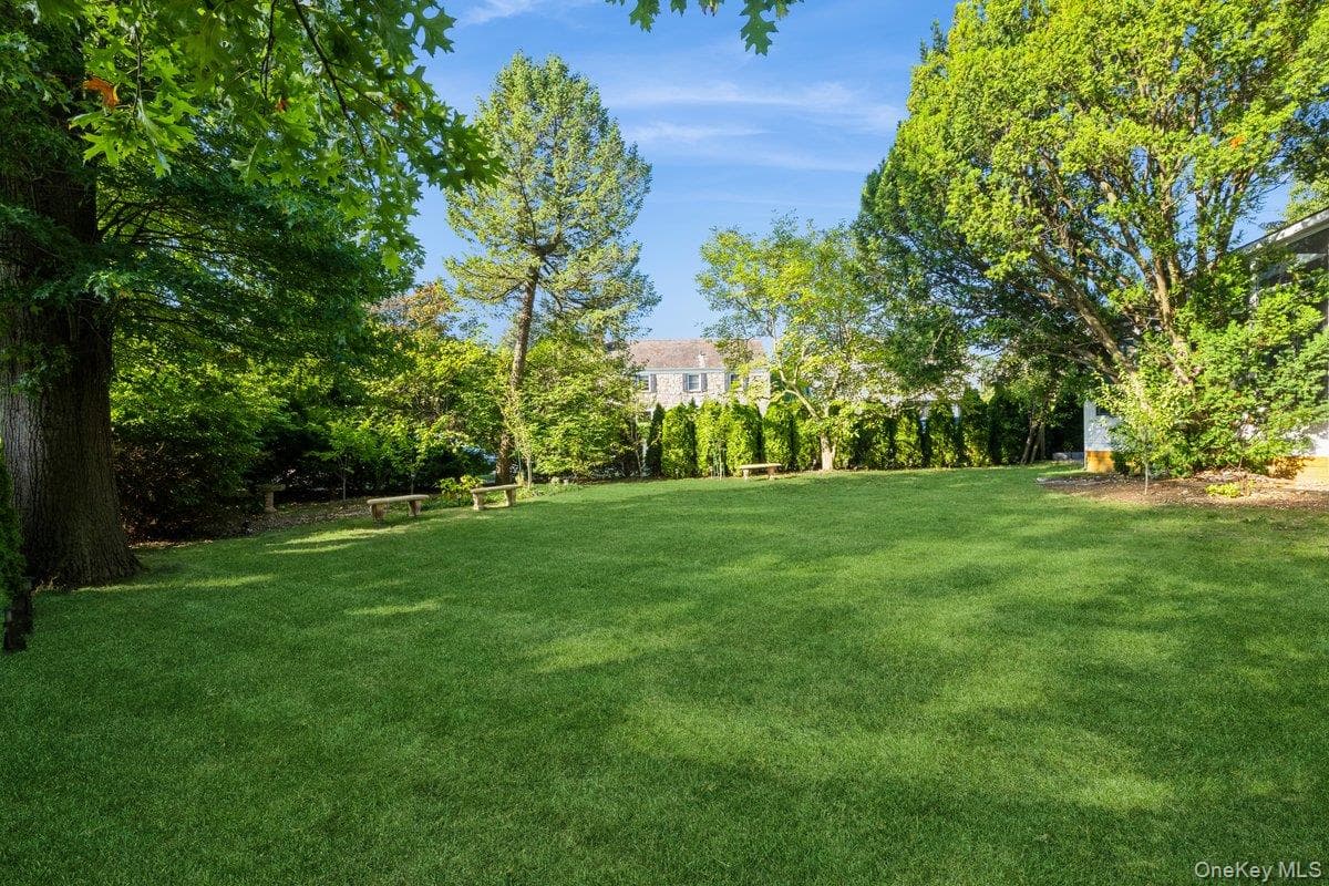 Yard