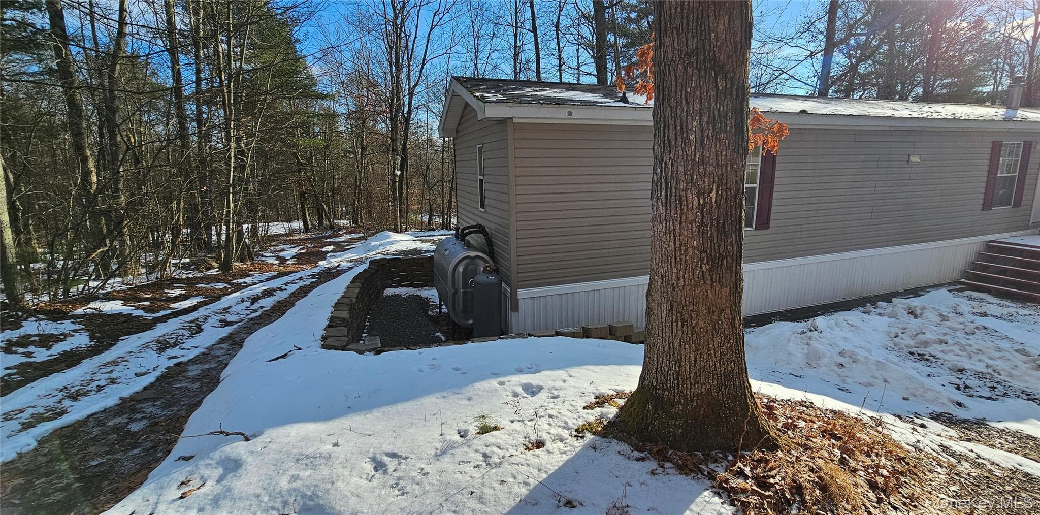 Back of Structure