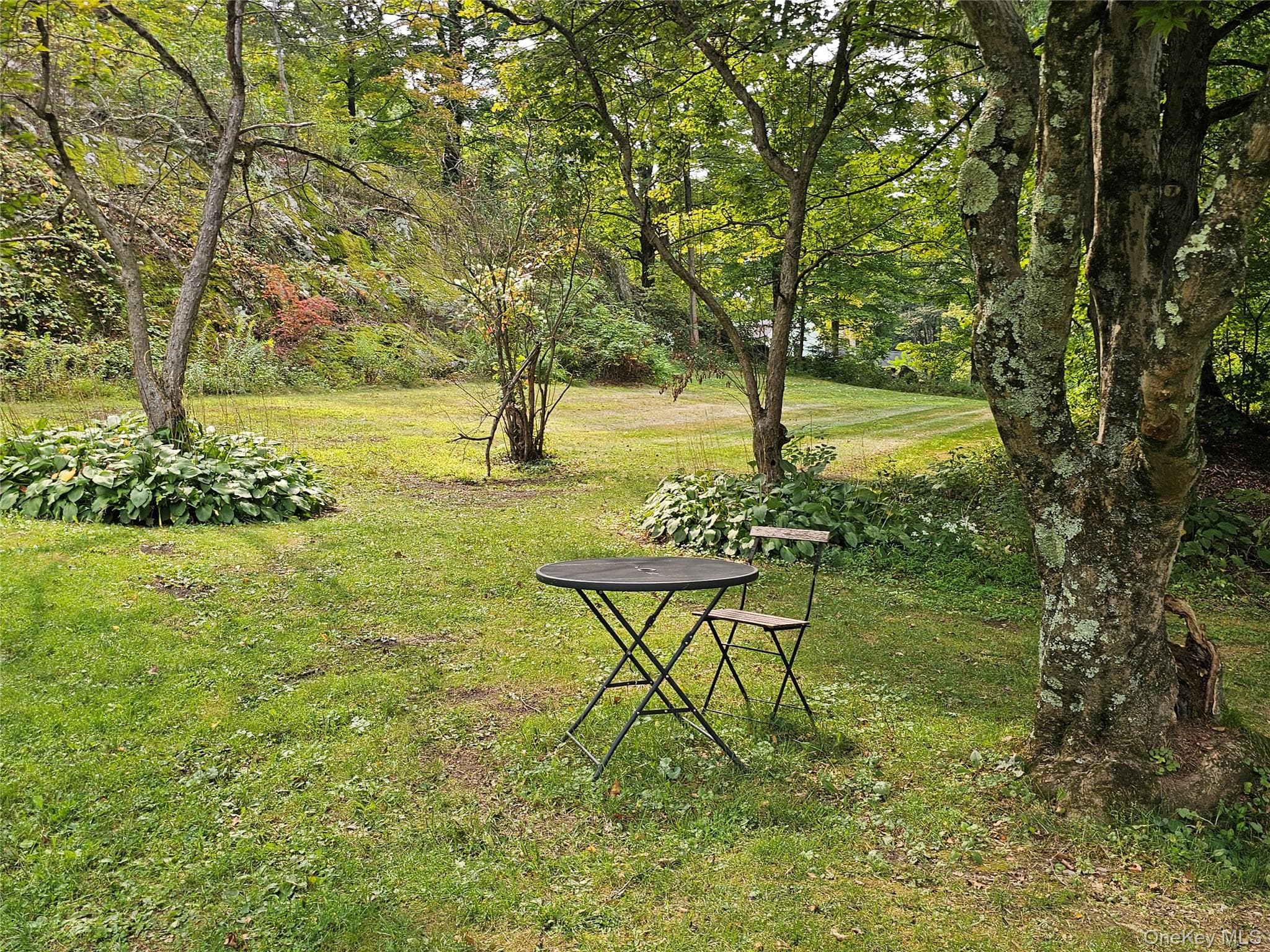 Yard