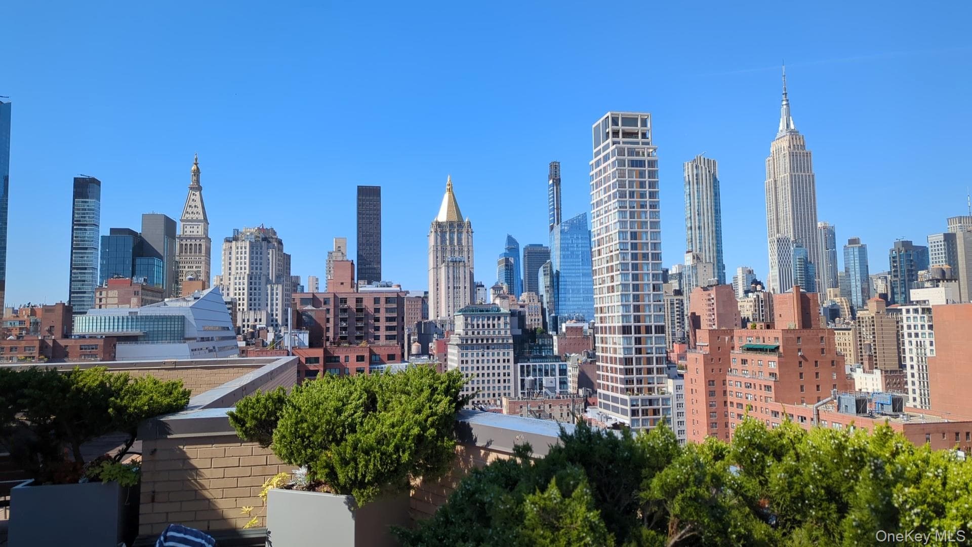 View