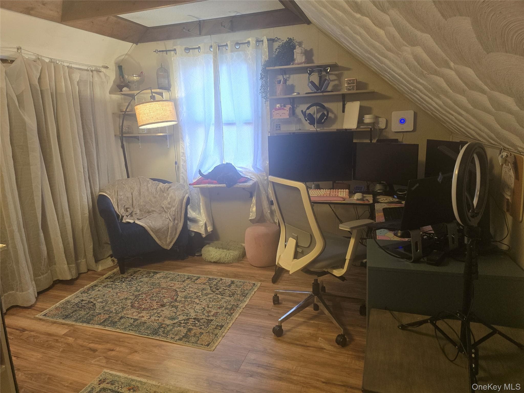 Photo 23