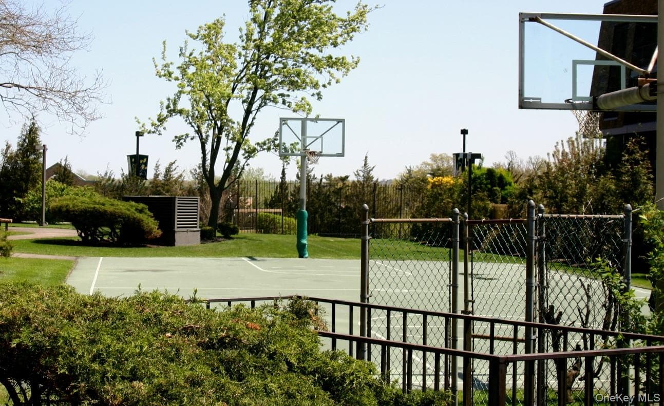 Basketball Court