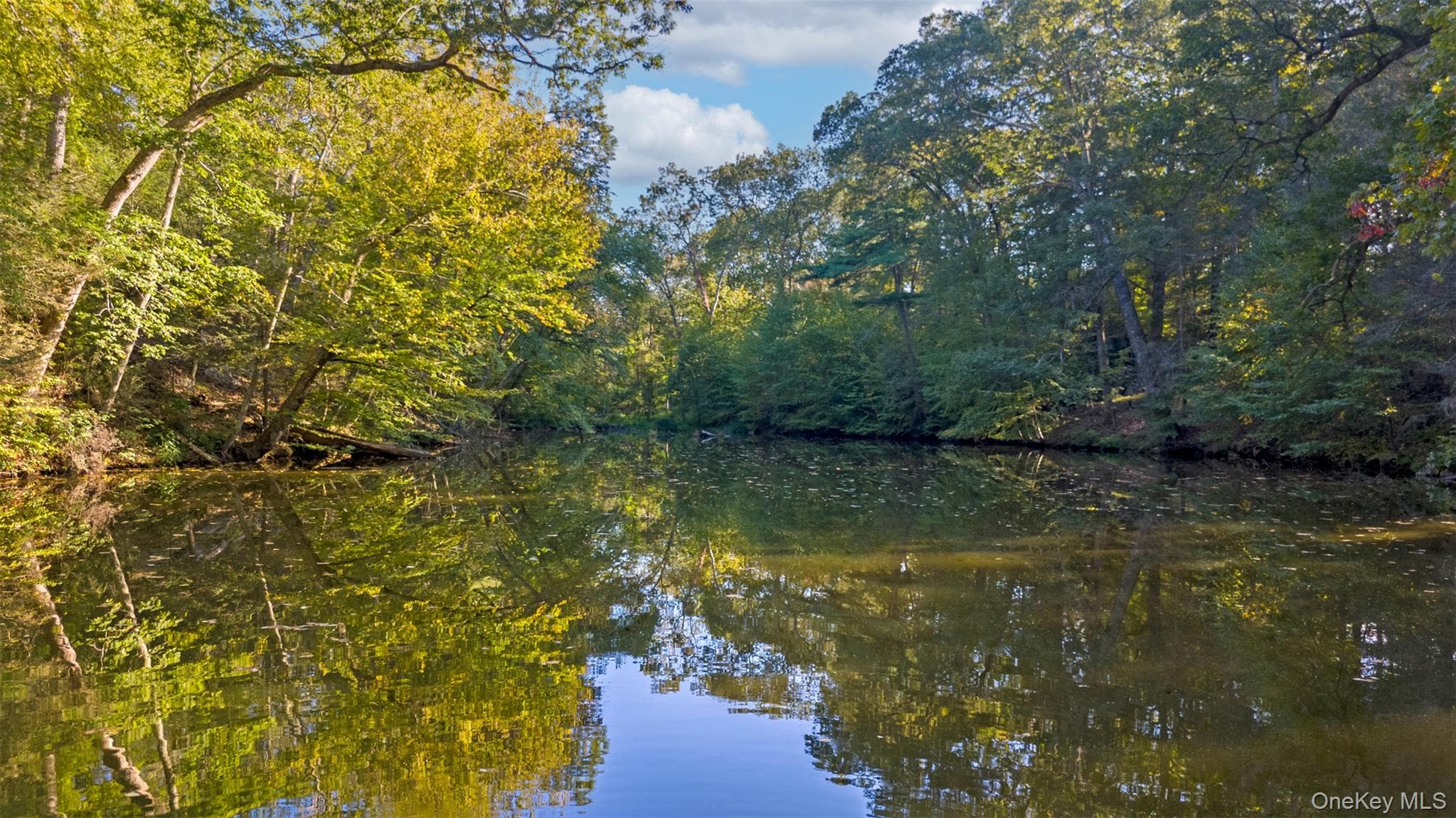 Pond