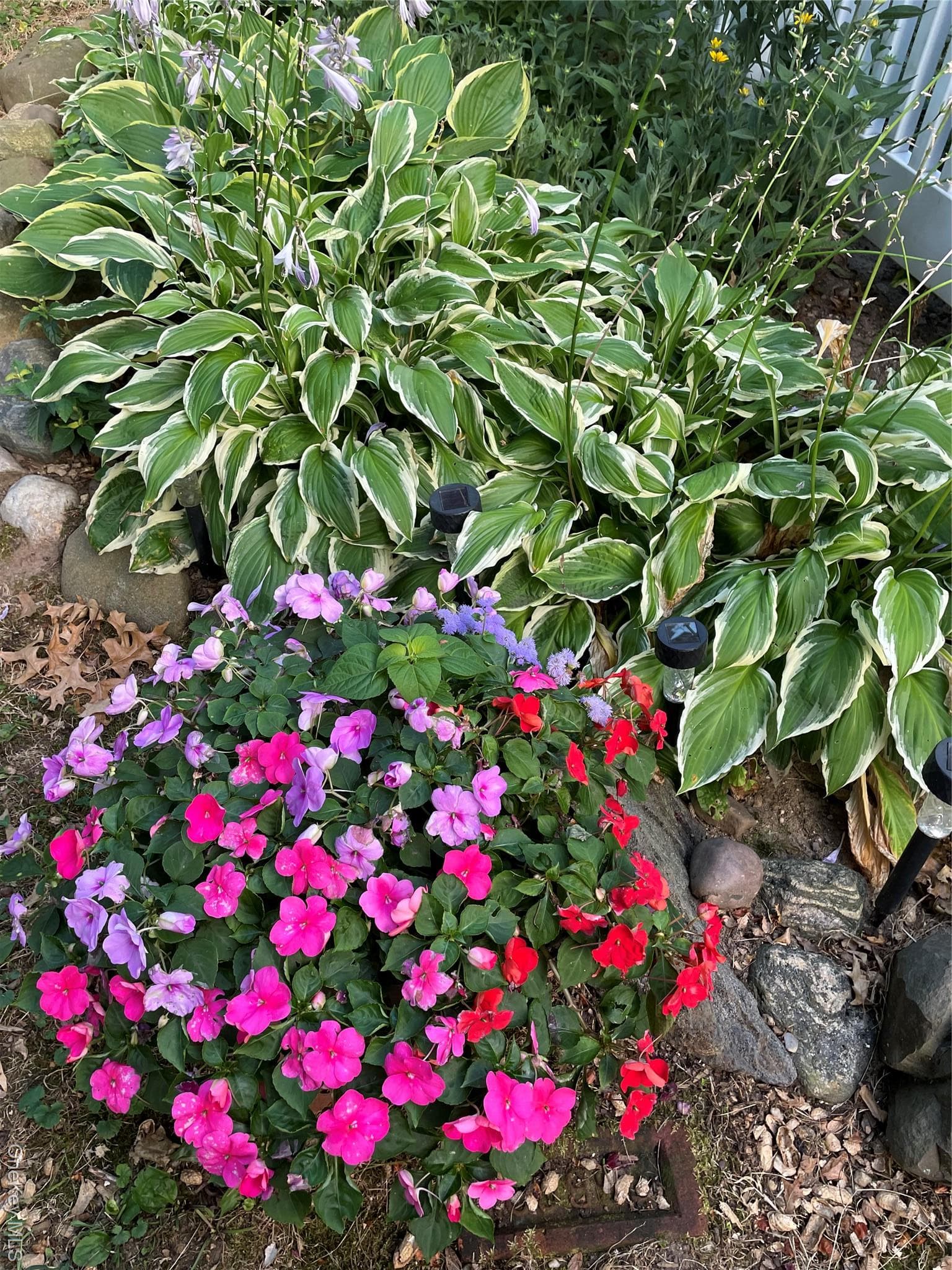 Photo 19