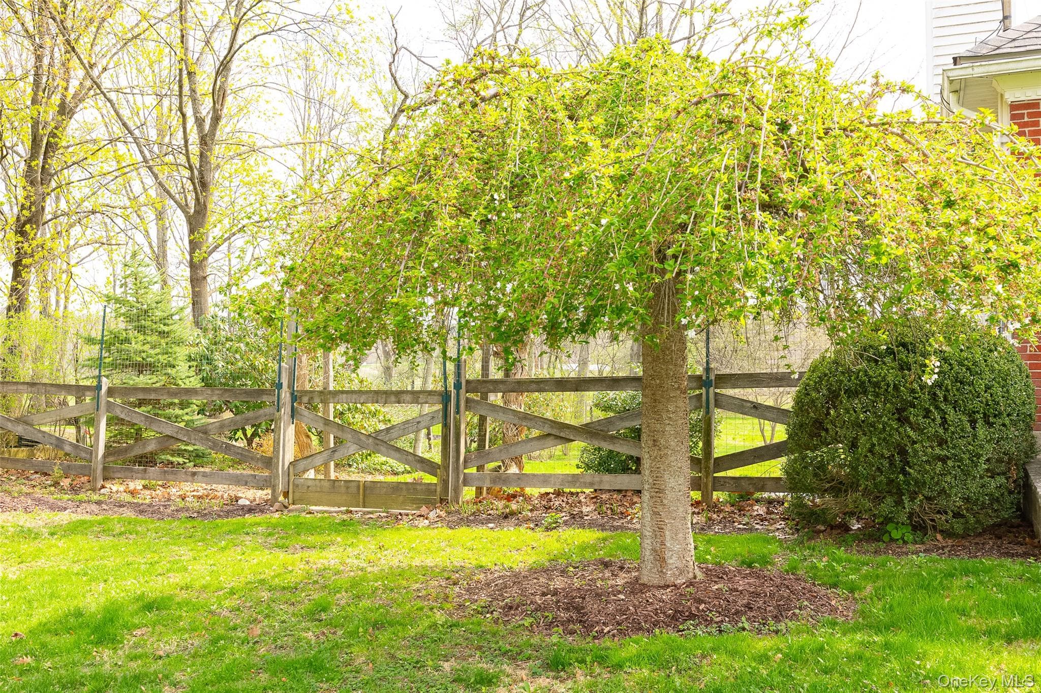 Yard