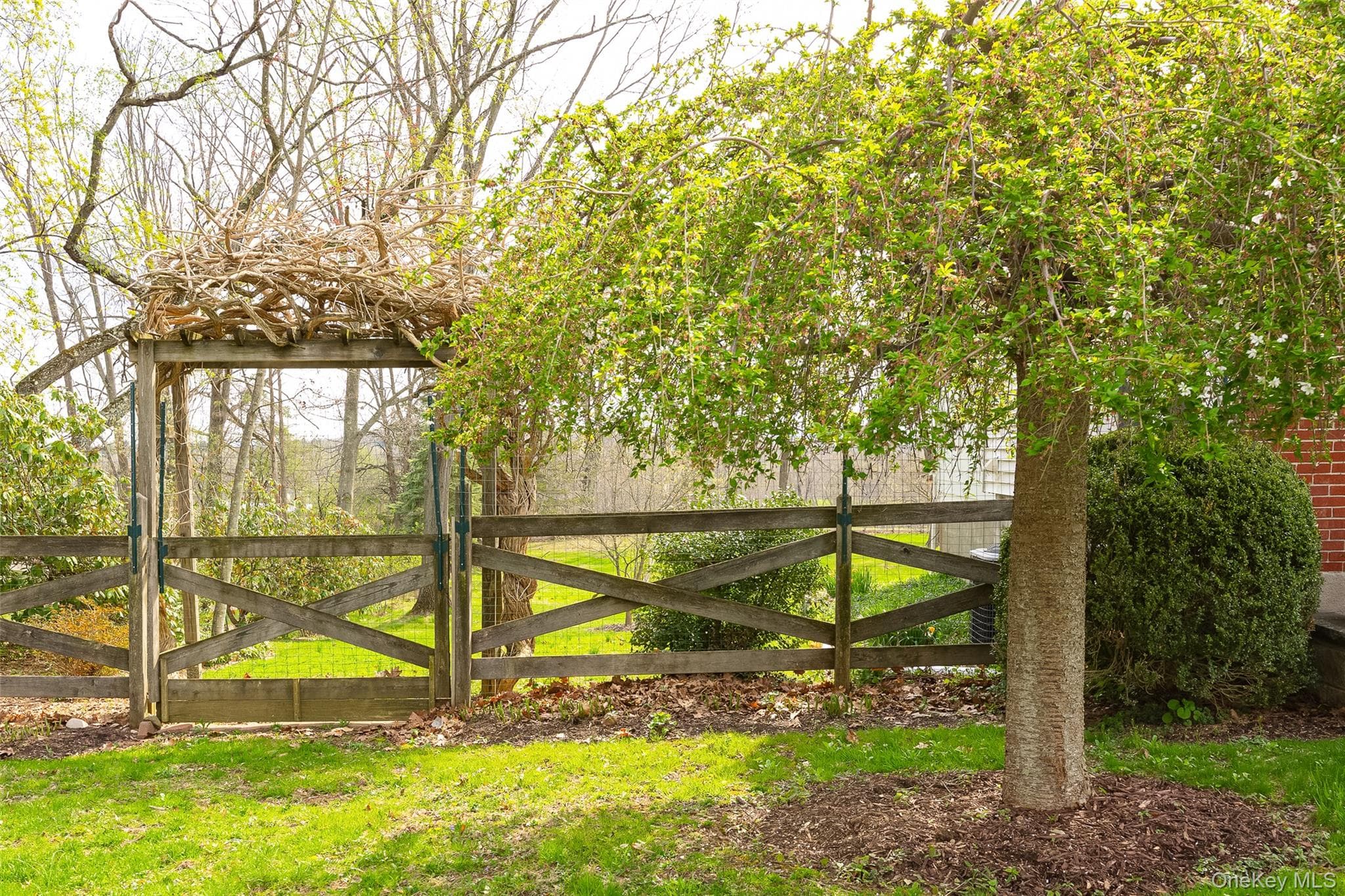 Yard