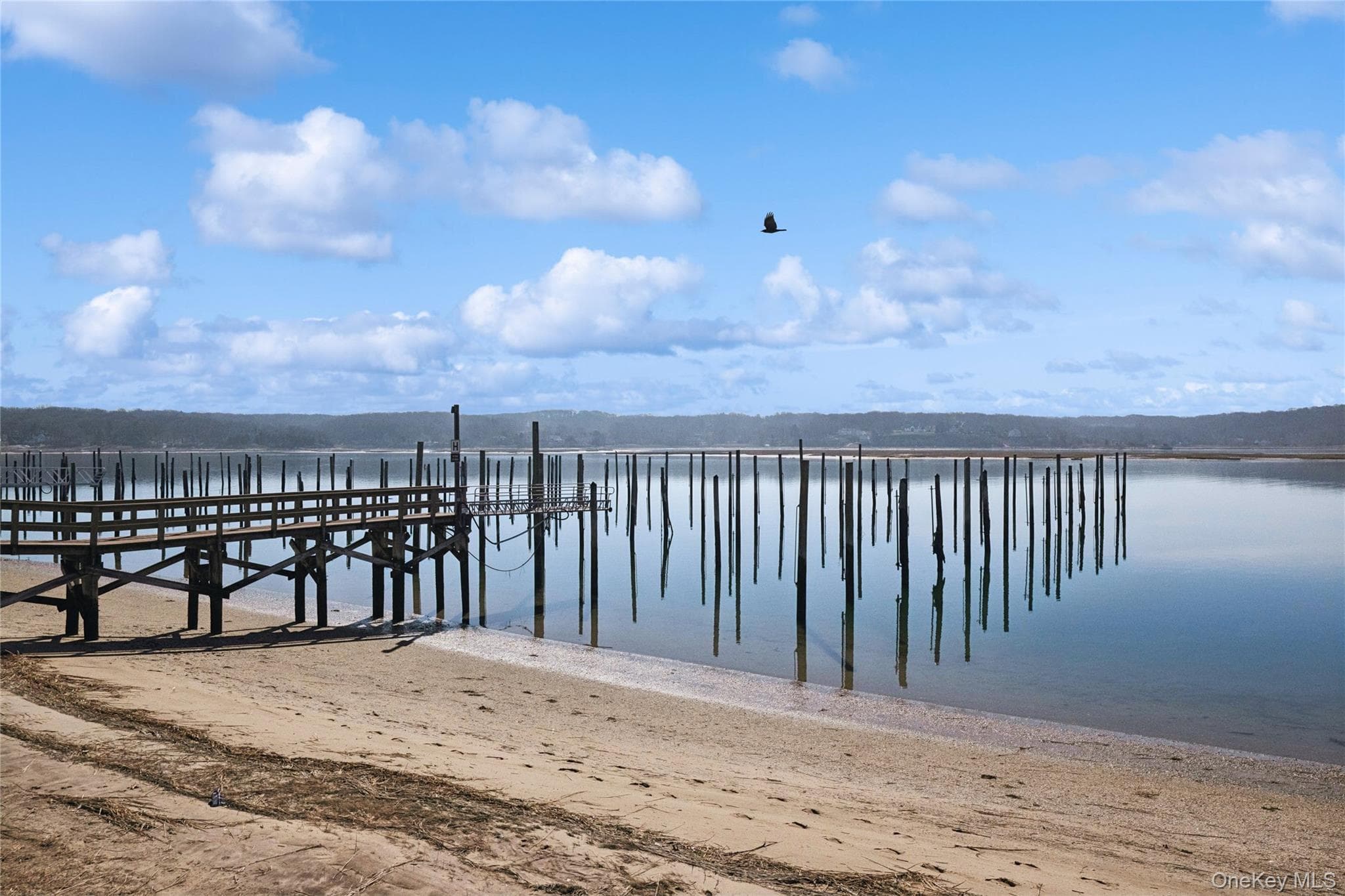 Dock