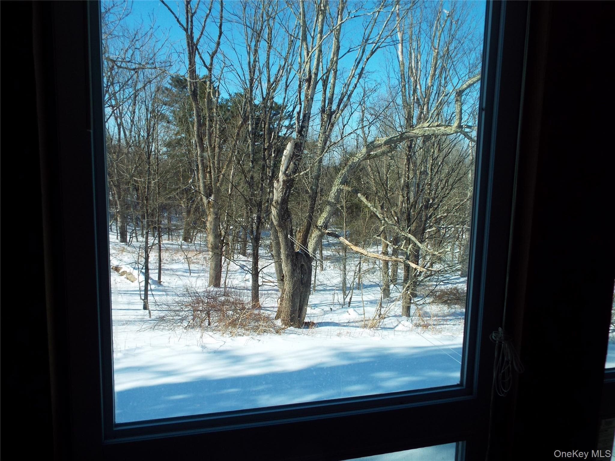 Photo 22