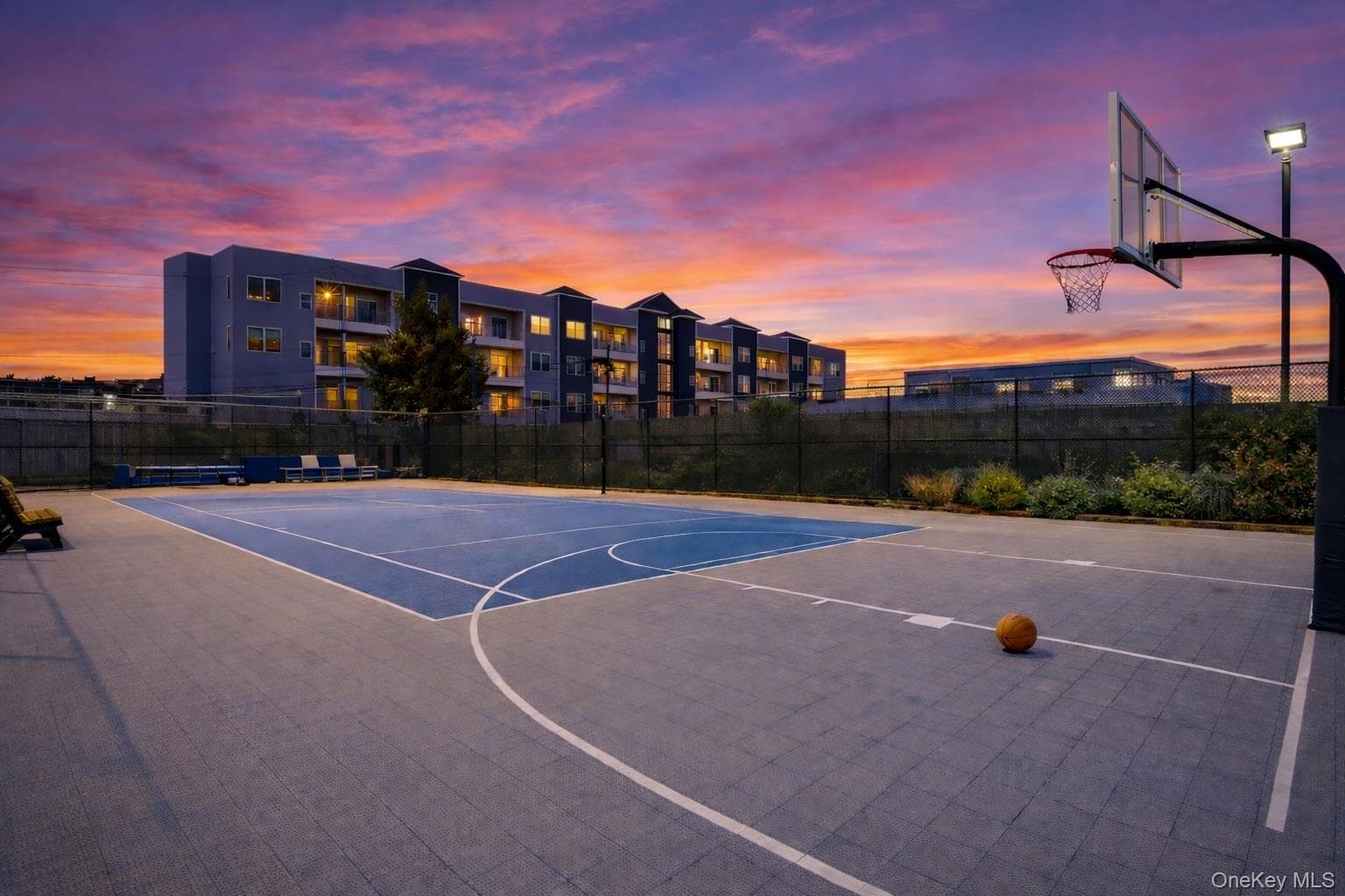 Basketball Court