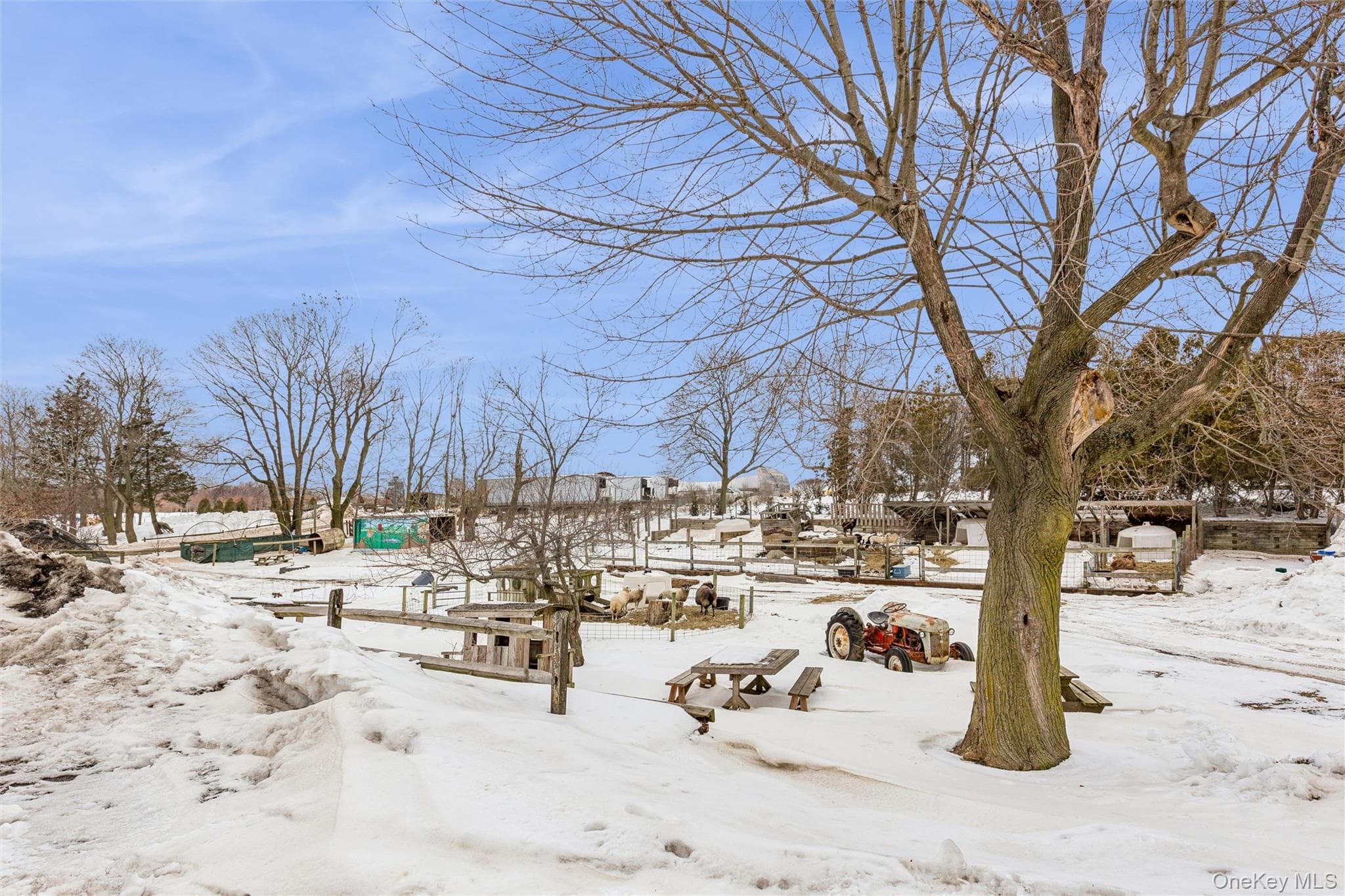 Yard